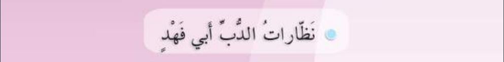 نظارات الدب أبي فهد